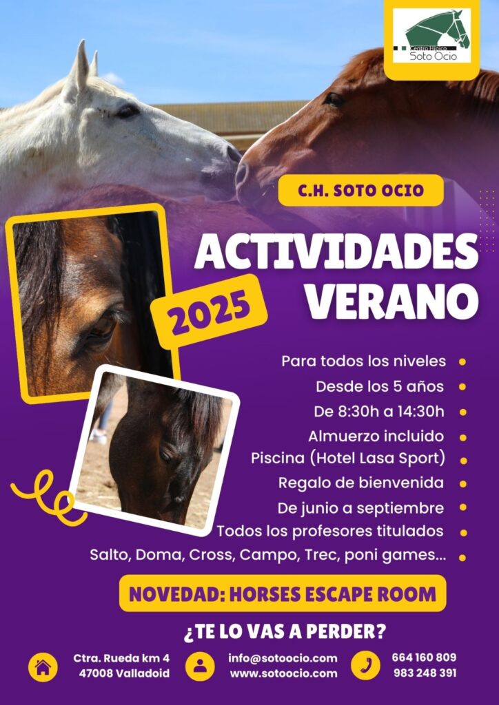 Actividades de verano